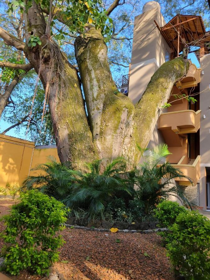 Real Guanacaste Aparthotel San Pedro Sula Eksteriør bilde